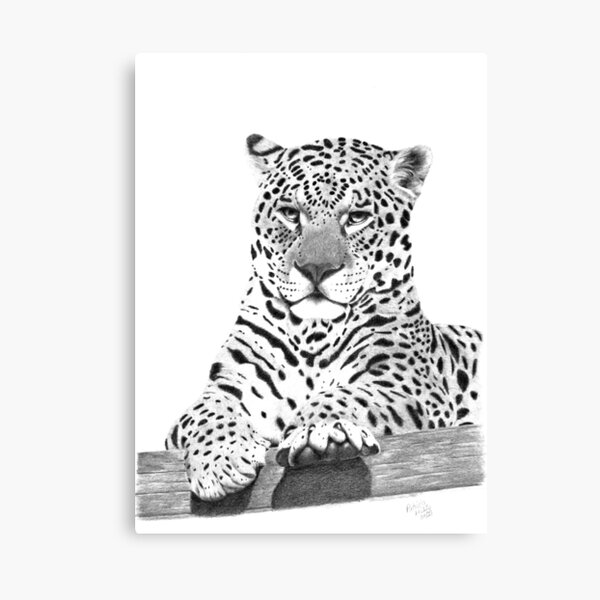 Item preview, A Leopard's Stare designed and sold by PatriciaHiltz.