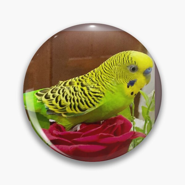 Item preview, Parakeet designed and sold by Capture  Room.