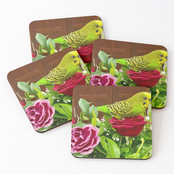 Item preview, Parakeet designed and sold by Capture  Room.