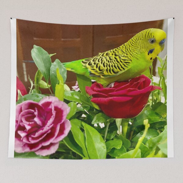 Item preview, Parakeet designed and sold by Capture  Room.