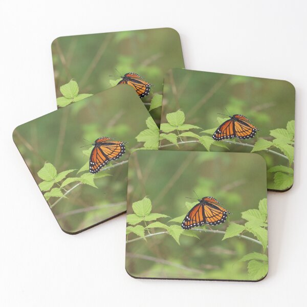 Item preview, Viceroy Beauty designed and sold by LisaNaturePhoto.