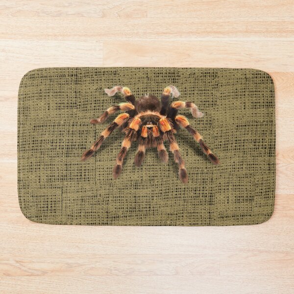 Item preview, TARANTULA, MEXICAN RED KNEE TARANTULA designed and sold by Danicus666.