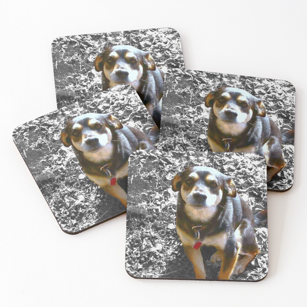 Item preview, Coasters (Set of 4) designed and sold by chstudios.