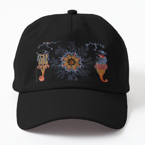 Haeckel Siphonophorae. Siphonophorae is an order of Hydrozoans, a class of marine organisms belonging to the phylum Cnidaria Dad Hat