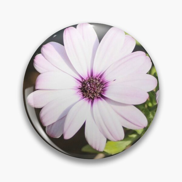 Item preview, Osteospermum ecklonis designed and sold by LitchiArt.