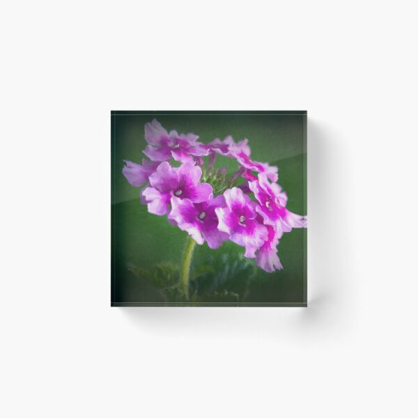 Item preview, A Ring of Verbena designed and sold by Gerda Grice Photography.