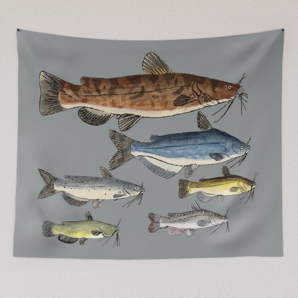 Item preview, North American Catfish Family designed and sold by fishfolkart.