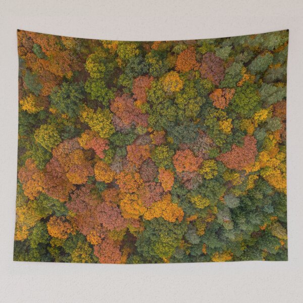 Item preview, Autumn Forest designed and sold by Tim Paulawitz.