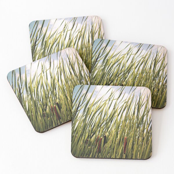 Item preview, Bulrushes and Cattails designed and sold by ColinParadine.