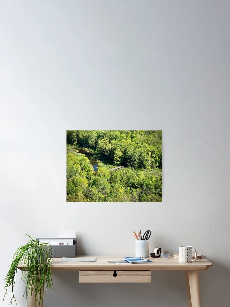 Thumbnail 2 of 3, Poster, Hidden | Bridge designed and sold by BionicDesigns.