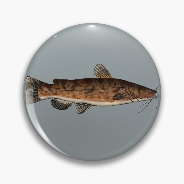 Item preview, Flathead Catfish designed and sold by fishfolkart.