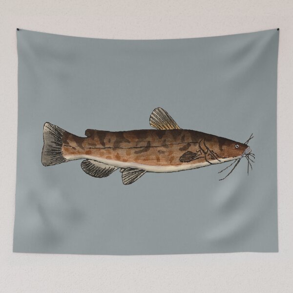 Item preview, Flathead Catfish designed and sold by fishfolkart.