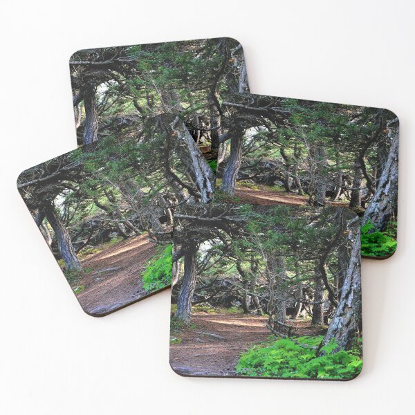 Item preview, Lush Green Fairy Forest, Flattop Trail Alaska designed and sold by djamorartworks.