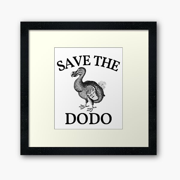 Return of the Dodo – WMODA