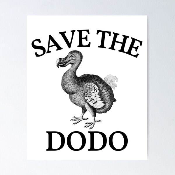 Return of the Dodo – WMODA