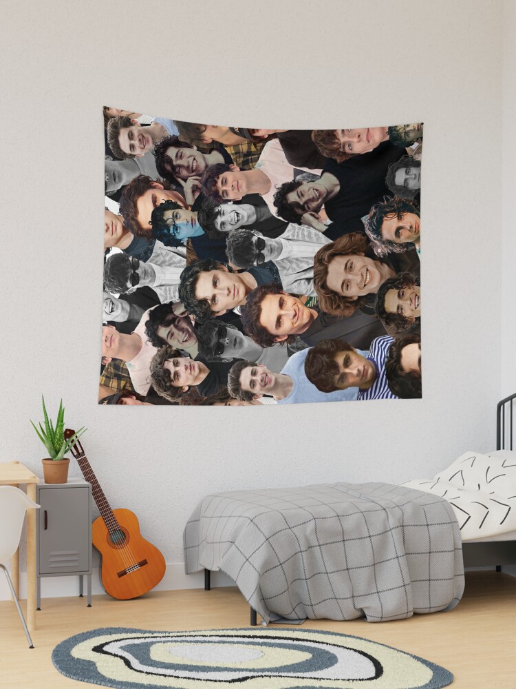 Timothee chalamet online tapestry