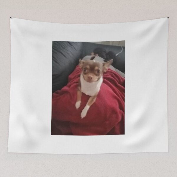 Item preview, Majce i td. designed and sold by BenjamineDizajn.