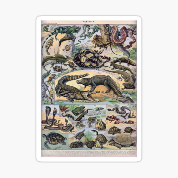Item preview, Adolphe Millot Reptile designed and sold by wetdryvac.