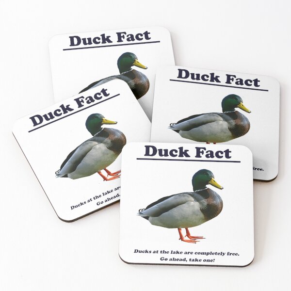 Item preview, Duck Fact Bumper Sticker & Shirt (variations available)  designed and sold by PigSucculent.