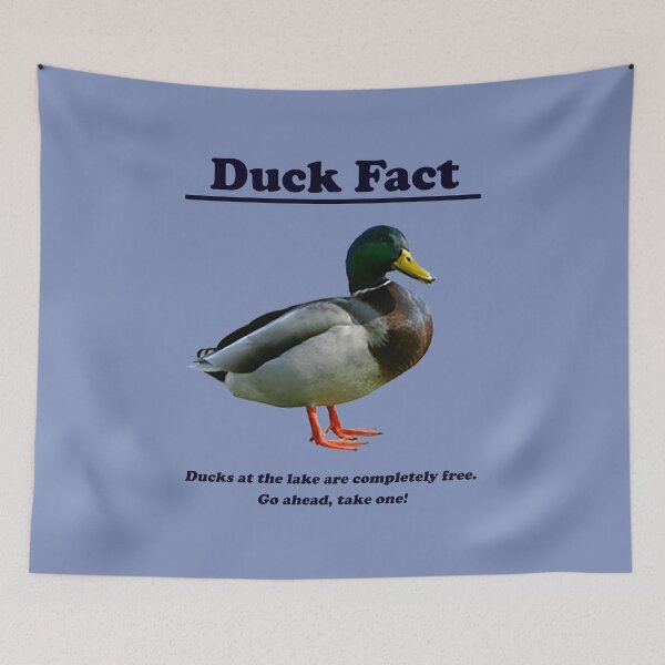 Item preview, Duck Fact Bumper Sticker & Shirt (variations available)  designed and sold by PigSucculent.