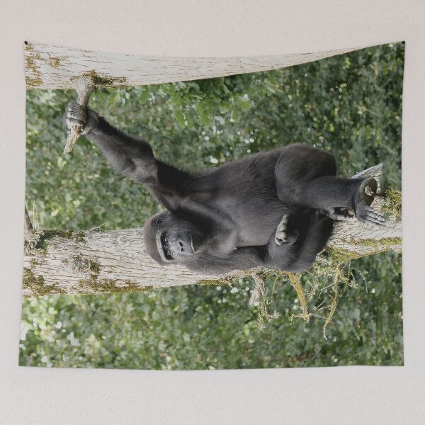 Aperçu de l'œuvre r1118/ Finition 2021 " Jeune Gorille dans l'Arbre " 2014 (c) Olavia-Olao Okaio Créations créée et vendue par o.okaïo.
