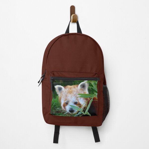 Item preview, A Beautiful Red Panda Cub designed and sold by Karen Thomson.