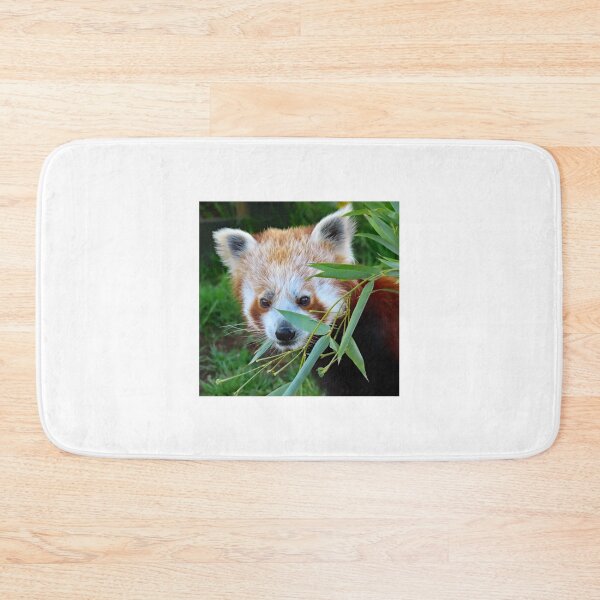 Item preview, A Beautiful Red Panda Cub designed and sold by Karen Thomson.