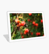 Red Rosehips Laptop Skin