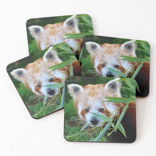 Item preview, A Beautiful Red Panda Cub designed and sold by Karen Thomson.