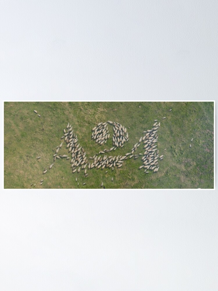 "A24 Lamb logo" Poster for Sale by racheldenucci Redbubble