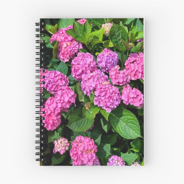 Item preview, Hortensias magentas designed and sold by ClearNight.