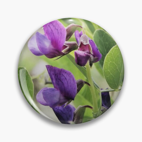 Item preview, Coastal Sweet Peas designed and sold by Jill  Ledet.