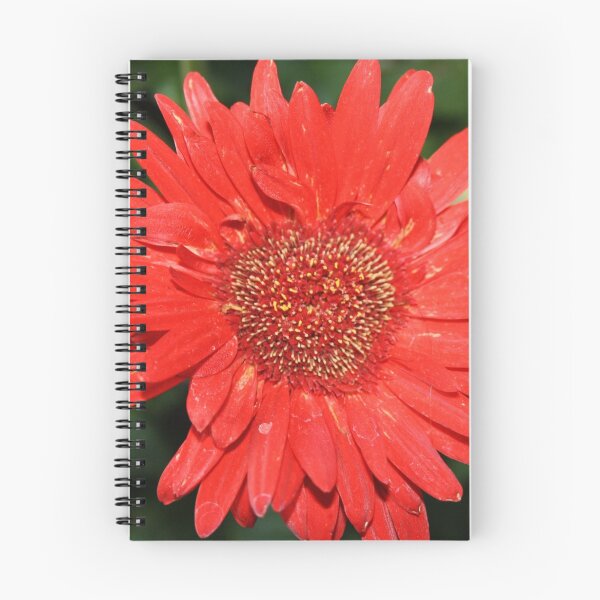 Item preview, Red  Flower designed and sold by monarchgraphics.