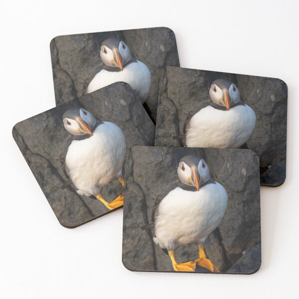 Item preview, Puffin Portrait full length designed and sold by Wilphotography.