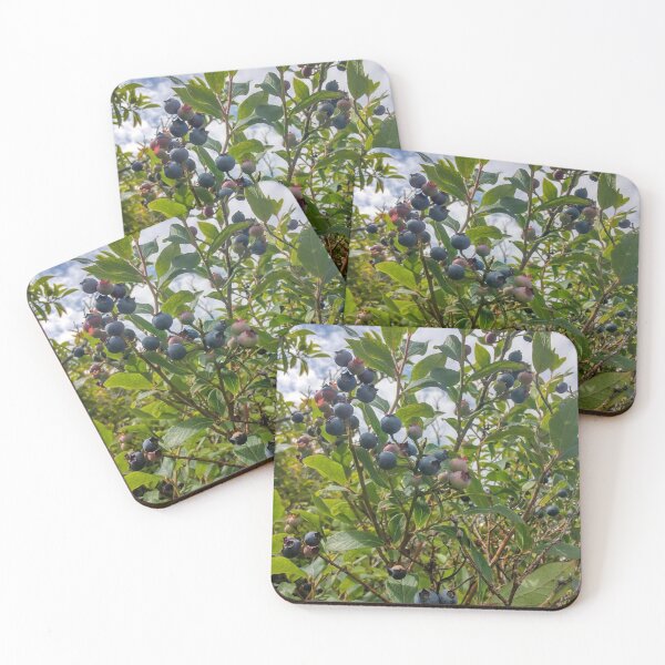 Item preview, A Wild Bunch designed and sold by JessyPeck.
