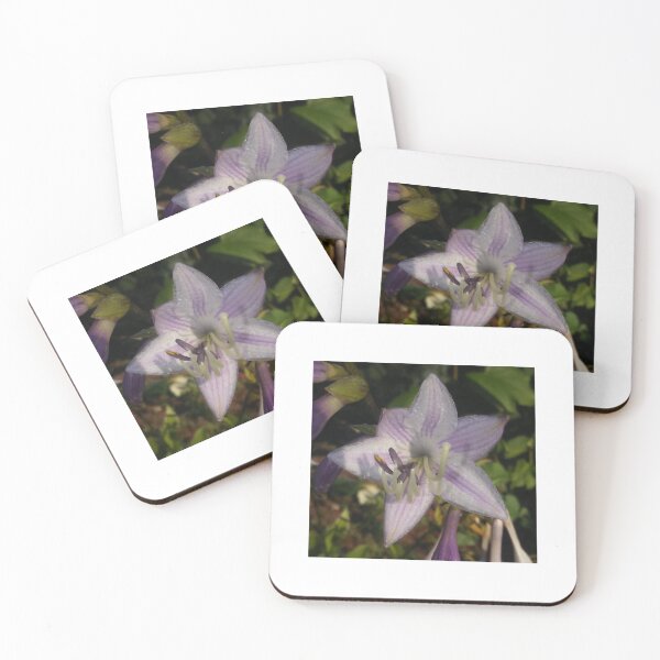 Item preview, Hosta  designed and sold by Treesintheocean.