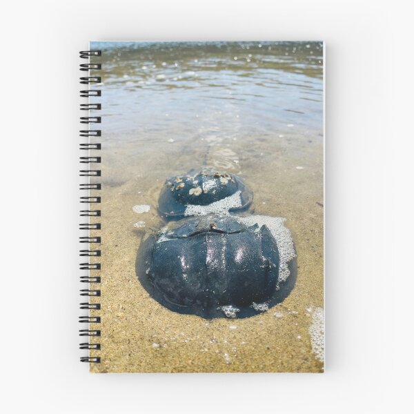 Item preview, Horseshoecrab Love designed and sold by mainekayakgirl.