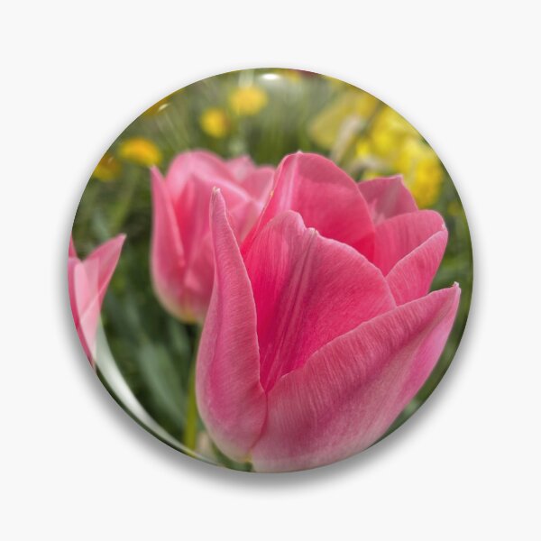 Aperçu de l'œuvre Tulipe rose créée et vendue par mainekayakgirl.