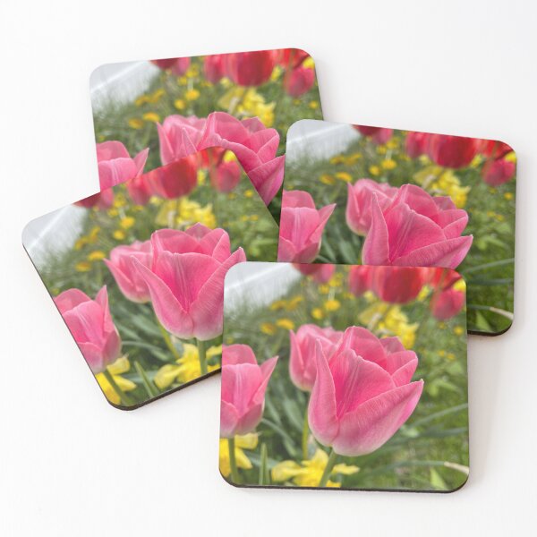 Aperçu de l'œuvre Tulipe rose créée et vendue par mainekayakgirl.