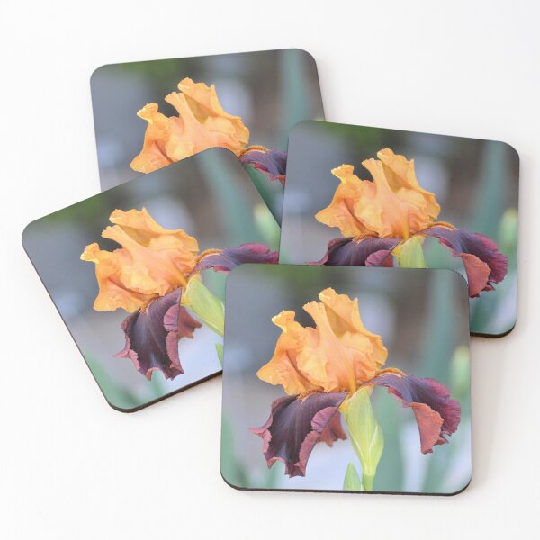 Item preview, Iris naranja bicolor designed and sold by Kathleen Brant.