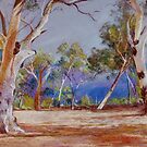 'Storm Out Back' by Lynda Robinson