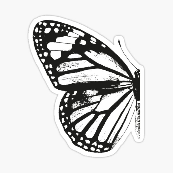 Monarch Butterfly | Left Wing | Vintage Butterflies | Butterfly Wings | Diptych | Black and White | Sticker