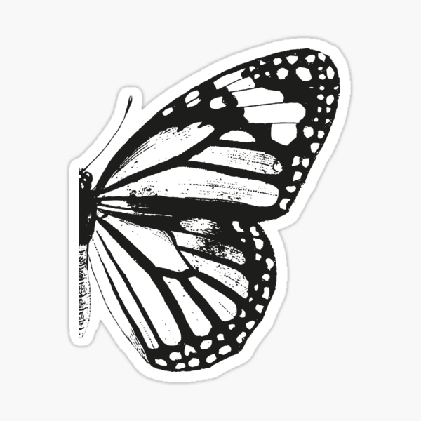 Monarch Butterfly, Right Wing, Vintage Butterflies, Butterfly Wings, Diptych, Black and White,  Sticker for Sale by EclecticAtHeART