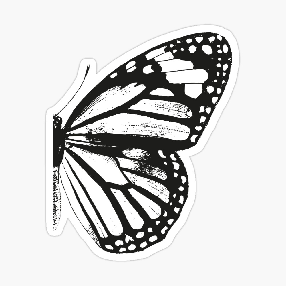 Minimal Black and White Butterfly - Capricorn Press