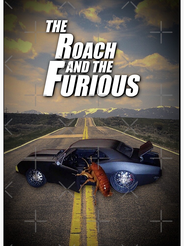 Roach Getting Into Car Meme