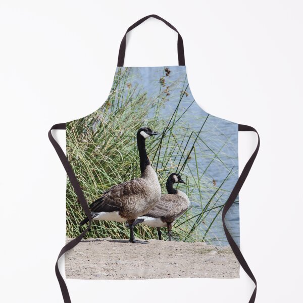 Item preview, Hey Girls, Let's Go Swimming! designed and sold by heatherfriedman.