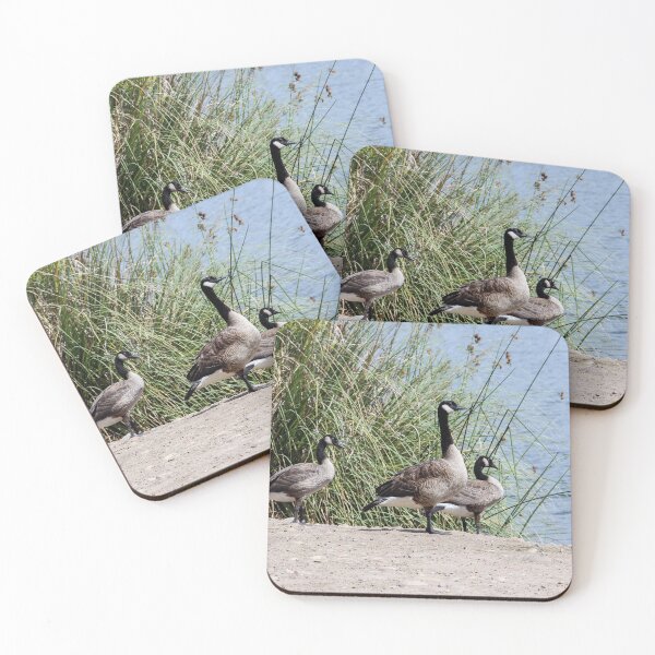 Item preview, Hey Girls, Let's Go Swimming! designed and sold by heatherfriedman.