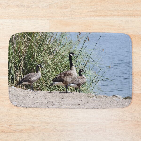 Item preview, Hey Girls, Let's Go Swimming! designed and sold by heatherfriedman.