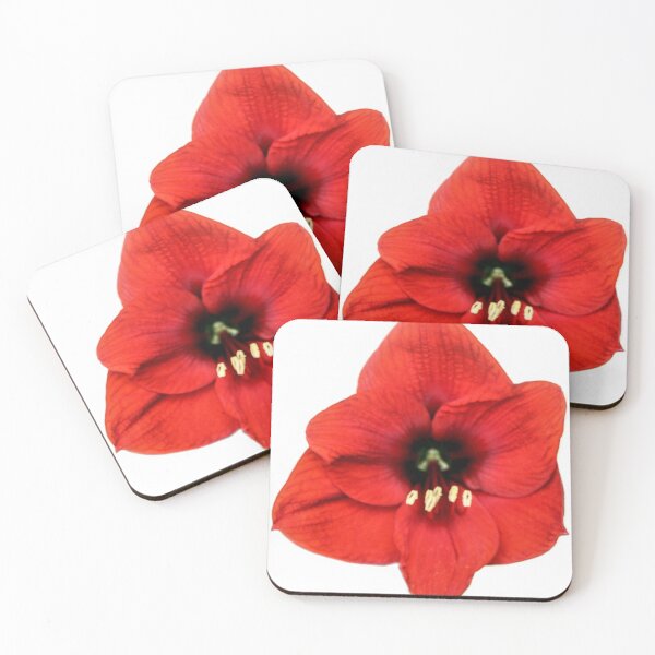 Item preview, Red Lion Amaryllis designed and sold by heatherfriedman.