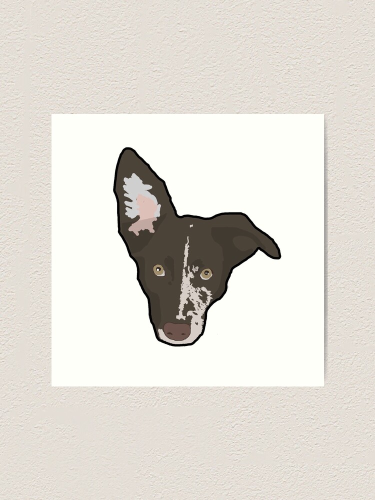 Silver Lab Aussie Mix atelieryuwa.ciao.jp